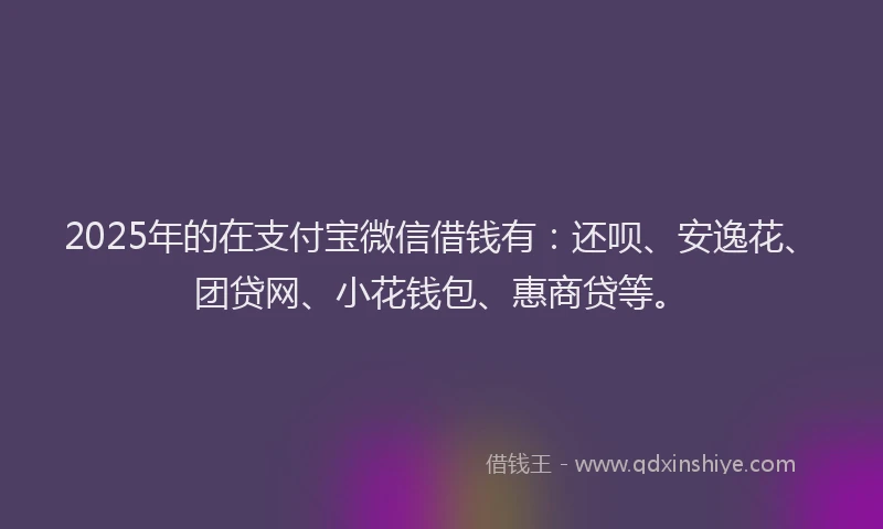 2025年的在支付宝微信借钱有：还呗、安逸花、团贷网、小花钱包、惠商贷等。