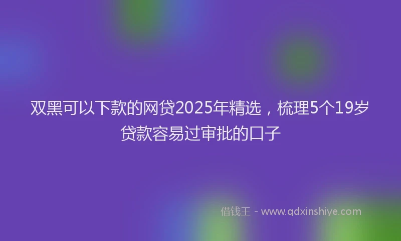 双黑可以下款的网贷2025年精选，梳理5个19岁贷款容易过审批的口子