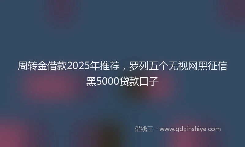 周转金借款2025年推荐，罗列五个无视网黑征信黑5000贷款口子