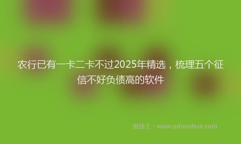 农行已有一卡二卡不过2025年精选，梳理五个征信不好负债高的软件
