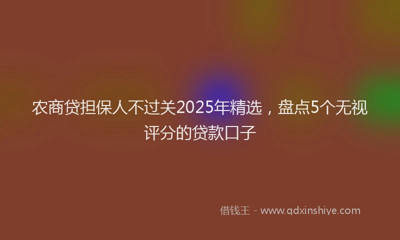 农商贷担保人不过关2025年精选，盘点5个无视评分的贷款口子