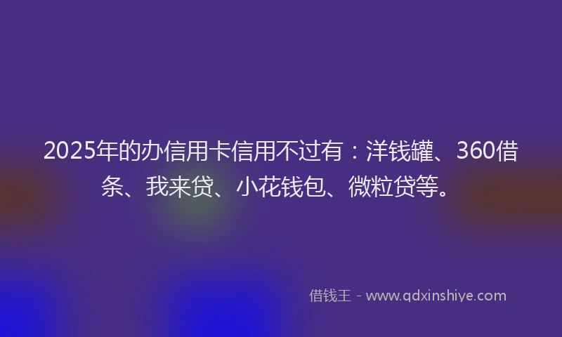 2025年的办信用卡信用不过有：洋钱罐、360借条、我来贷、小花钱包、微粒贷等。