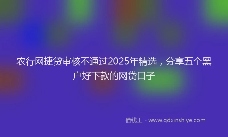 农行网捷贷审核不通过2025年精选，分享五个黑户好下款的网贷口子