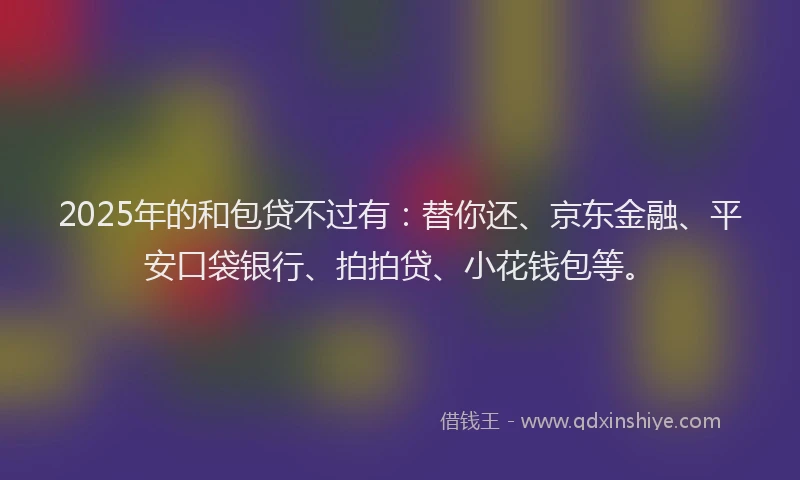 2025年的和包贷不过有：替你还、京东金融、平安口袋银行、拍拍贷、小花钱包等。