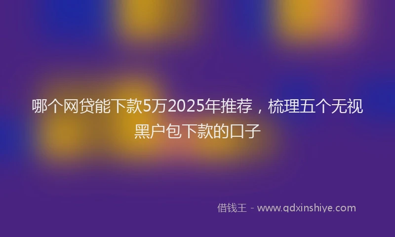 哪个网贷能下款5万2025年推荐，梳理五个无视黑户包下款的口子