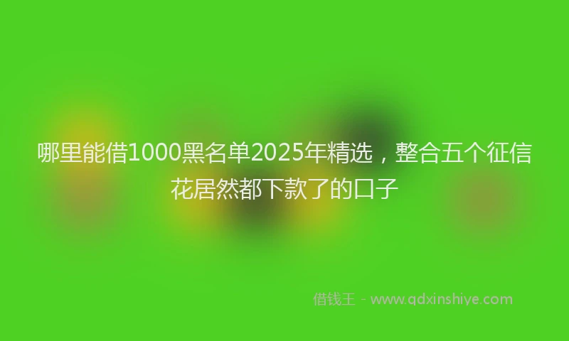 哪里能借1000黑名单2025年精选，整合五个征信花居然都下款了的口子