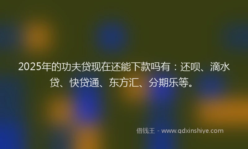 2025年的功夫贷现在还能下款吗有：还呗、滴水贷、快贷通、东方汇、分期乐等。