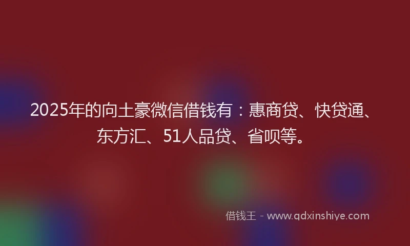 2025年的向土豪微信借钱有：惠商贷、快贷通、东方汇、51人品贷、省呗等。