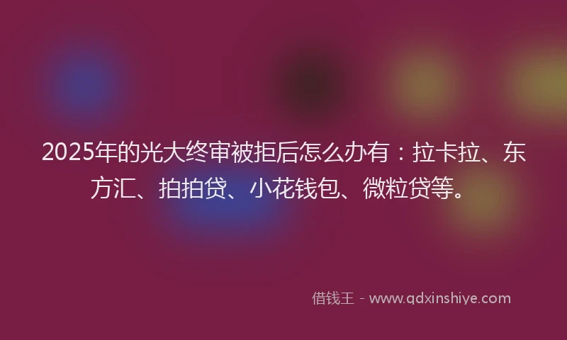 2025年的光大终审被拒后怎么办有：拉卡拉、东方汇、拍拍贷、小花钱包、微粒贷等。