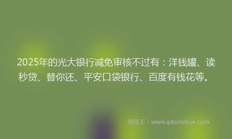 2025年的光大银行减免审核不过有：洋钱罐、读秒贷、替你还、平安口袋银行、百度有钱花等。