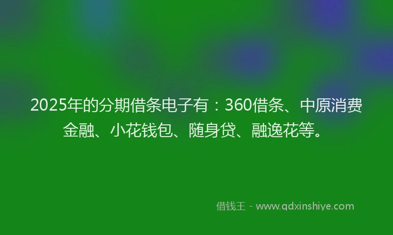 2025年的分期借条电子有：360借条、中原消费金融、小花钱包、随身贷、融逸花等。
