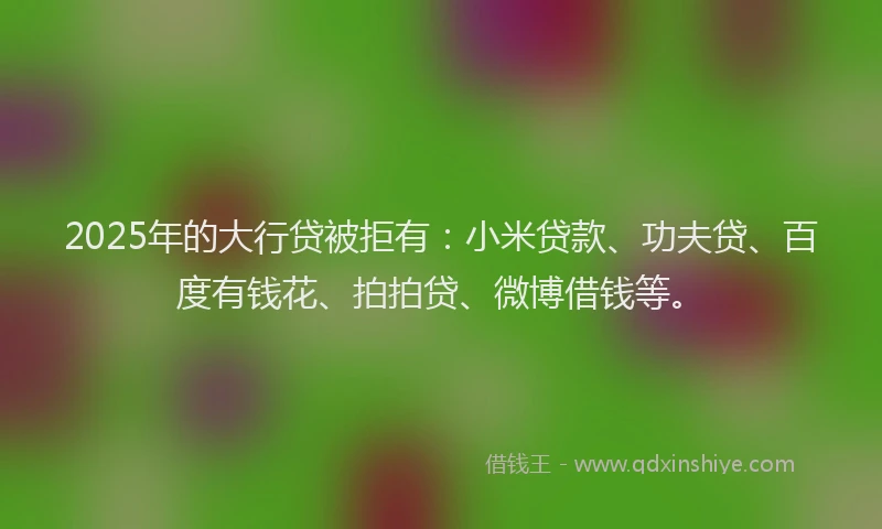 2025年的大行贷被拒有：小米贷款、功夫贷、百度有钱花、拍拍贷、微博借钱等。