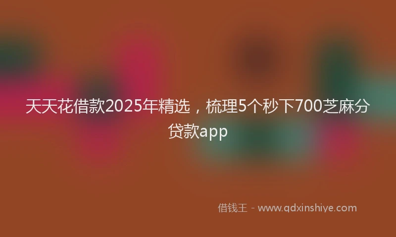 天天花借款2025年精选，梳理5个秒下700芝麻分贷款app