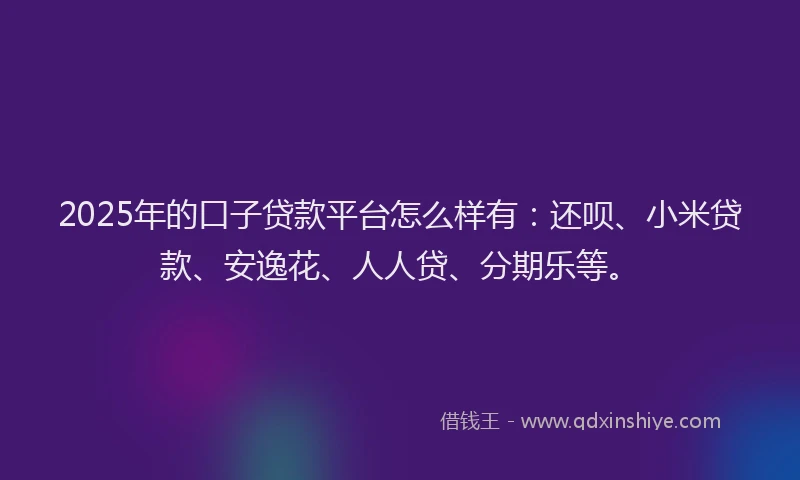 2025年的口子贷款平台怎么样有：还呗、小米贷款、安逸花、人人贷、分期乐等。