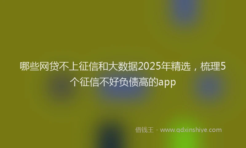 哪些网贷不上征信和大数据2025年精选，梳理5个征信不好负债高的app