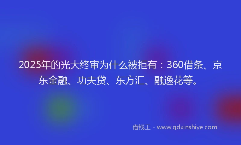 2025年的光大终审为什么被拒有：360借条、京东金融、功夫贷、东方汇、融逸花等。