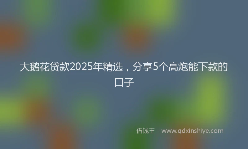 大鹅花贷款2025年精选，分享5个高炮能下款的口子