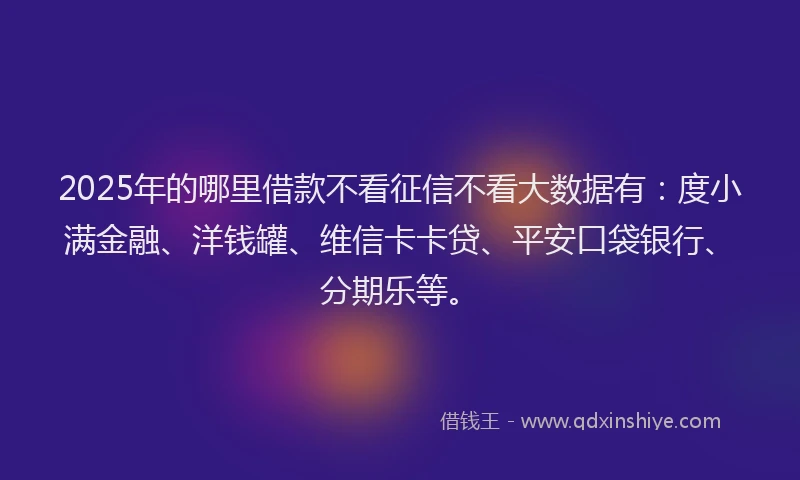 2025年的哪里借款不看征信不看大数据有：度小满金融、洋钱罐、维信卡卡贷、平安口袋银行、分期乐等。