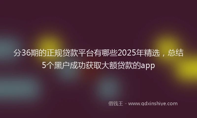分36期的正规贷款平台有哪些2025年精选，总结5个黑户成功获取大额贷款的app