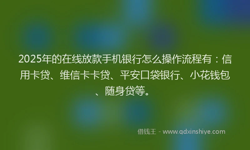 2025年的在线放款手机银行怎么操作流程有：信用卡贷、维信卡卡贷、平安口袋银行、小花钱包、随身贷等。