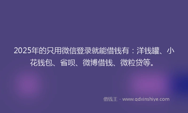 2025年的只用微信登录就能借钱有：洋钱罐、小花钱包、省呗、微博借钱、微粒贷等。