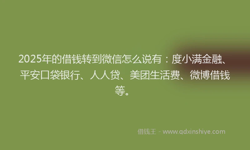 2025年的借钱转到微信怎么说有：度小满金融、平安口袋银行、人人贷、美团生活费、微博借钱等。