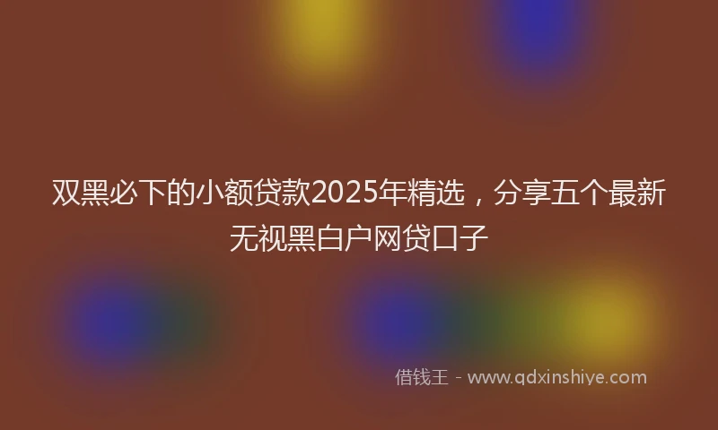 双黑必下的小额贷款2025年精选，分享五个最新无视黑白户网贷口子