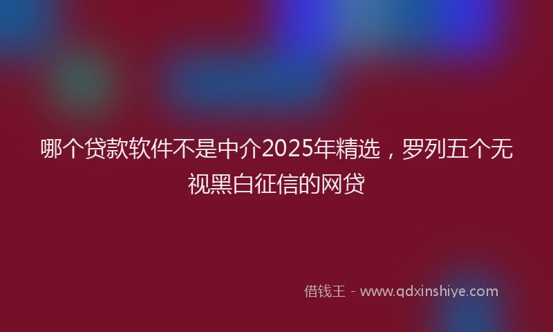 哪个贷款软件不是中介2025年精选，罗列五个无视黑白征信的网贷