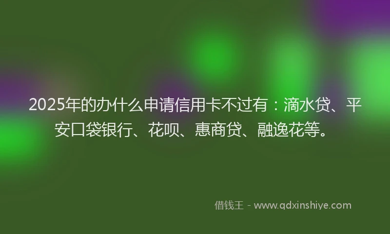 2025年的办什么申请信用卡不过有：滴水贷、平安口袋银行、花呗、惠商贷、融逸花等。