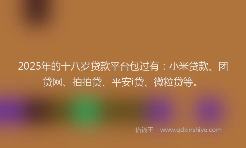 2025年的十八岁贷款平台包过有：小米贷款、团贷网、拍拍贷、平安i贷、微粒贷等。