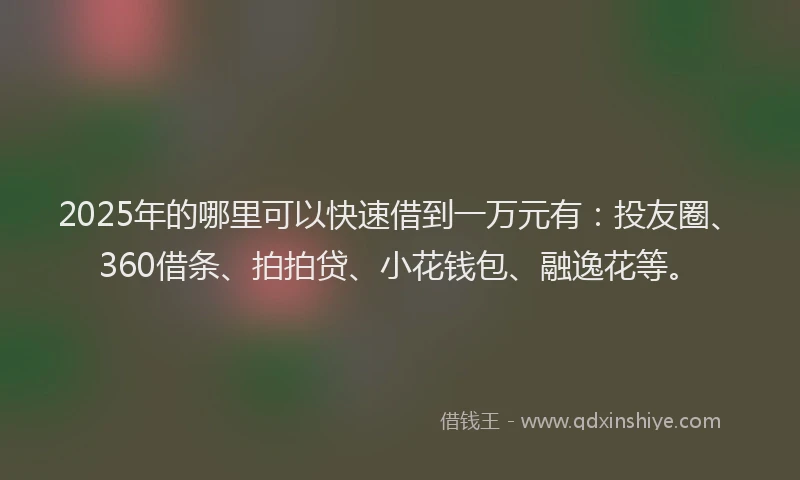 2025年的哪里可以快速借到一万元有：投友圈、360借条、拍拍贷、小花钱包、融逸花等。