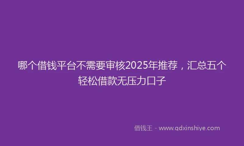 哪个借钱平台不需要审核2025年推荐，汇总五个轻松借款无压力口子