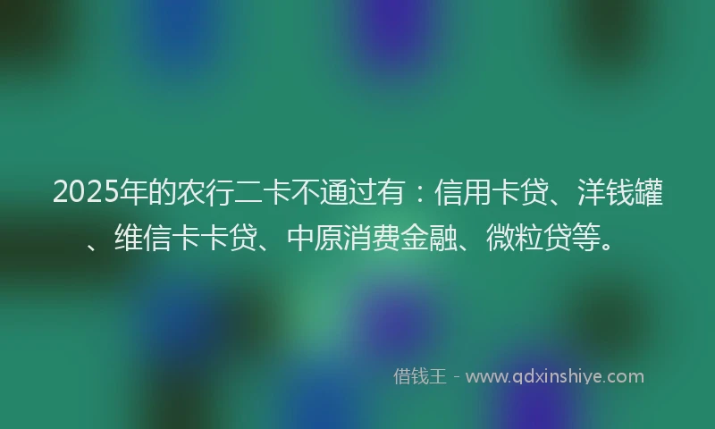 2025年的农行二卡不通过有：信用卡贷、洋钱罐、维信卡卡贷、中原消费金融、微粒贷等。