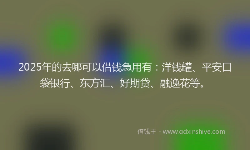 2025年的去哪可以借钱急用有：洋钱罐、平安口袋银行、东方汇、好期贷、融逸花等。