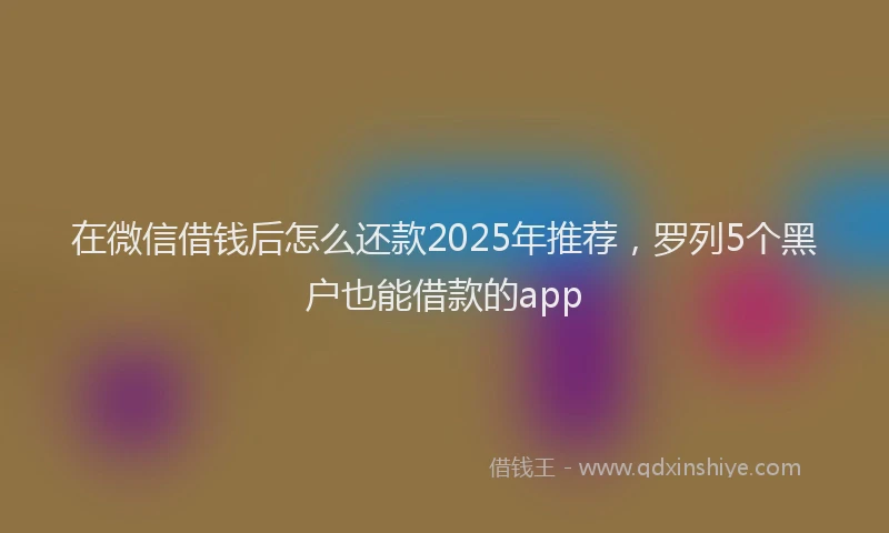 在微信借钱后怎么还款2025年推荐，罗列5个黑户也能借款的app