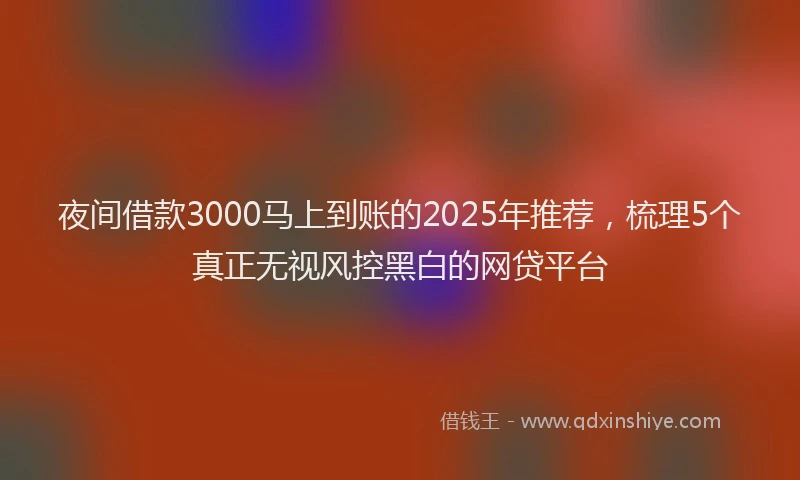 夜间借款3000马上到账的2025年推荐，梳理5个真正无视风控黑白的网贷平台