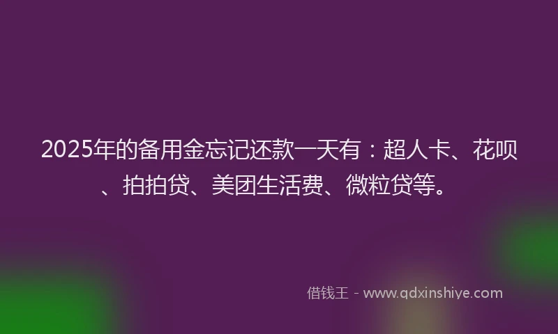 2025年的备用金忘记还款一天有：超人卡、花呗、拍拍贷、美团生活费、微粒贷等。