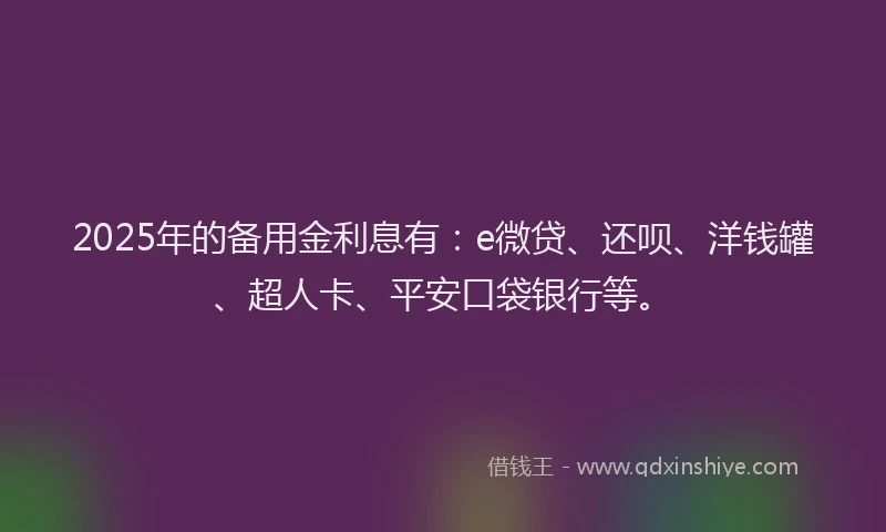 2025年的备用金利息有：e微贷、还呗、洋钱罐、超人卡、平安口袋银行等。