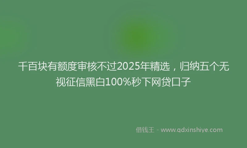 千百块有额度审核不过2025年精选，归纳五个无视征信黑白100%秒下网贷口子