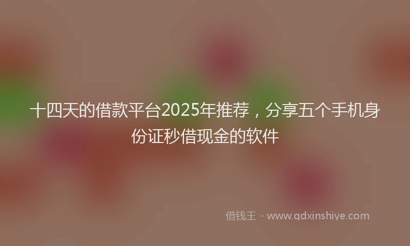 十四天的借款平台2025年推荐，分享五个手机身份证秒借现金的软件