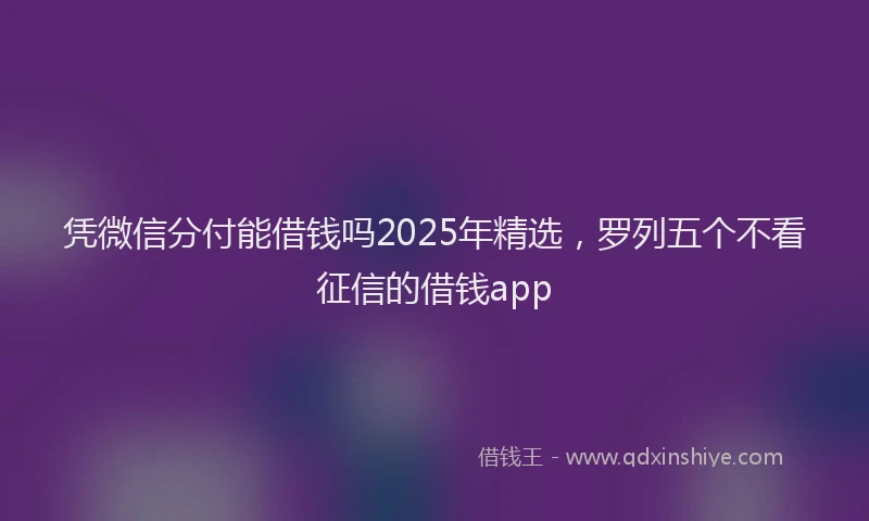 凭微信分付能借钱吗2025年精选，罗列五个不看征信的借钱app