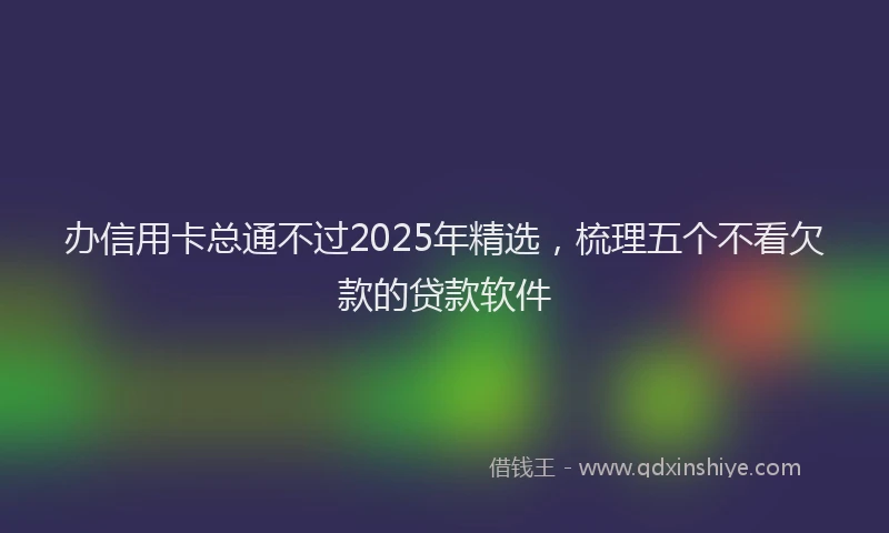 办信用卡总通不过2025年精选，梳理五个不看欠款的贷款软件