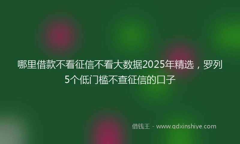 哪里借款不看征信不看大数据2025年精选，罗列5个低门槛不查征信的口子