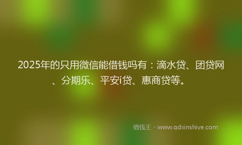 2025年的只用微信能借钱吗有：滴水贷、团贷网、分期乐、平安i贷、惠商贷等。