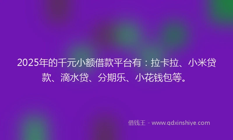 2025年的千元小额借款平台有：拉卡拉、小米贷款、滴水贷、分期乐、小花钱包等。