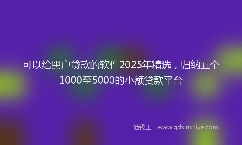 可以给黑户贷款的软件2025年精选，归纳五个1000至5000的小额贷款平台