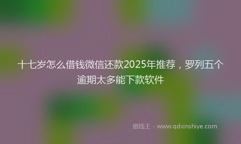 十七岁怎么借钱微信还款2025年推荐，罗列五个逾期太多能下款软件