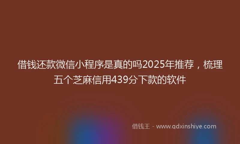 借钱还款微信小程序是真的吗2025年推荐，梳理五个芝麻信用439分下款的软件