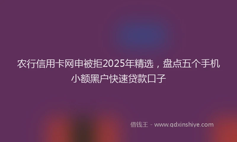 农行信用卡网申被拒2025年精选，盘点五个手机小额黑户快速贷款口子