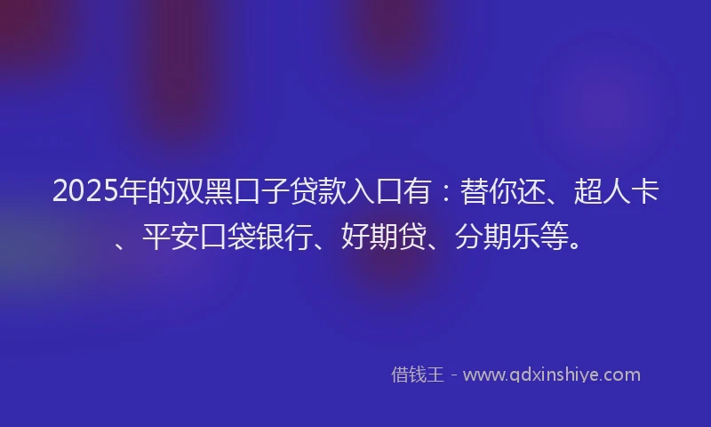 2025年的双黑口子贷款入口有：替你还、超人卡、平安口袋银行、好期贷、分期乐等。